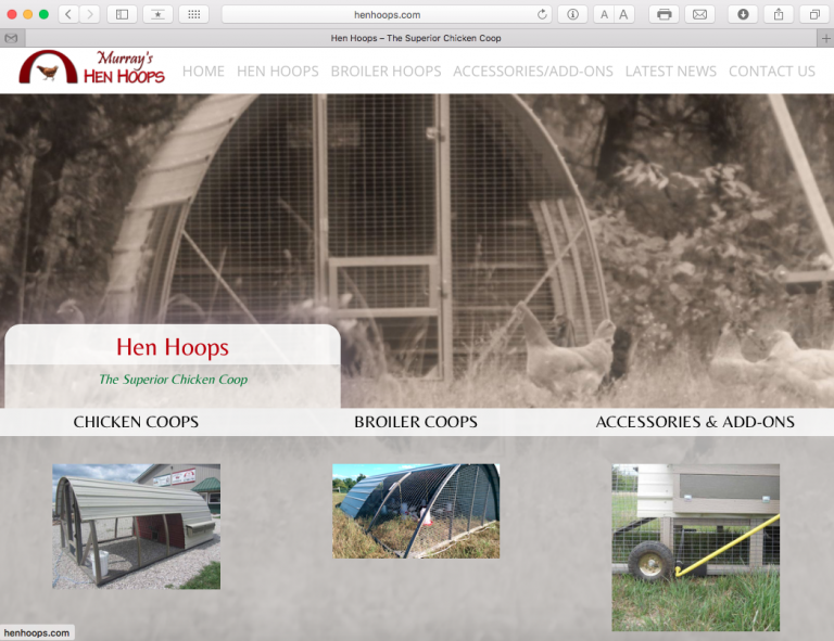 Avalon Web Designs | Professional Website Design & Marketing Services for HenHoops.com