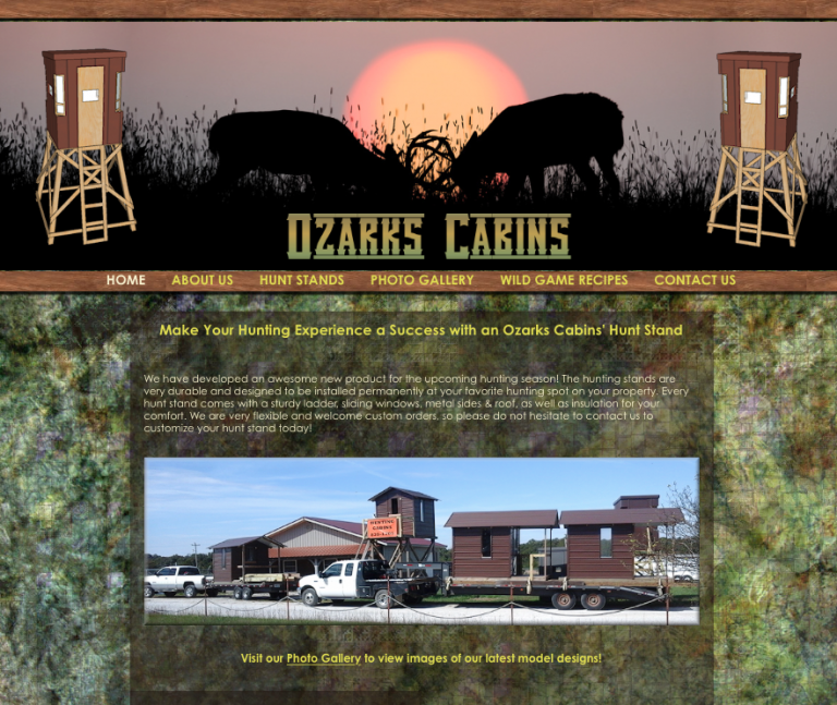 Avalon Web Designs | Professional Website Design & Marketing Services for OzarksCabins.com