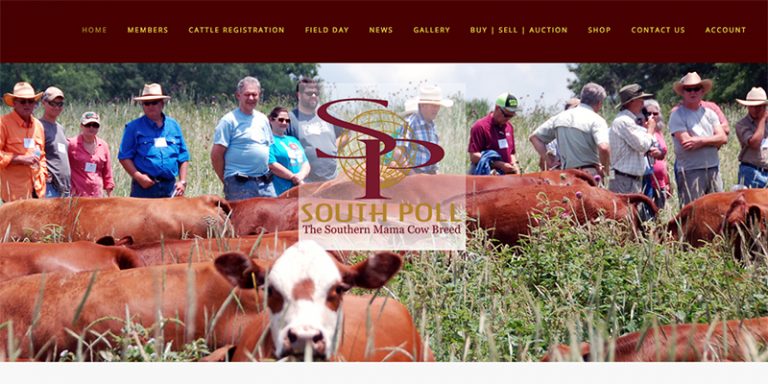 Avalon Web Designs | SouthPoll.com ~ South Poll Grass Cattle Association